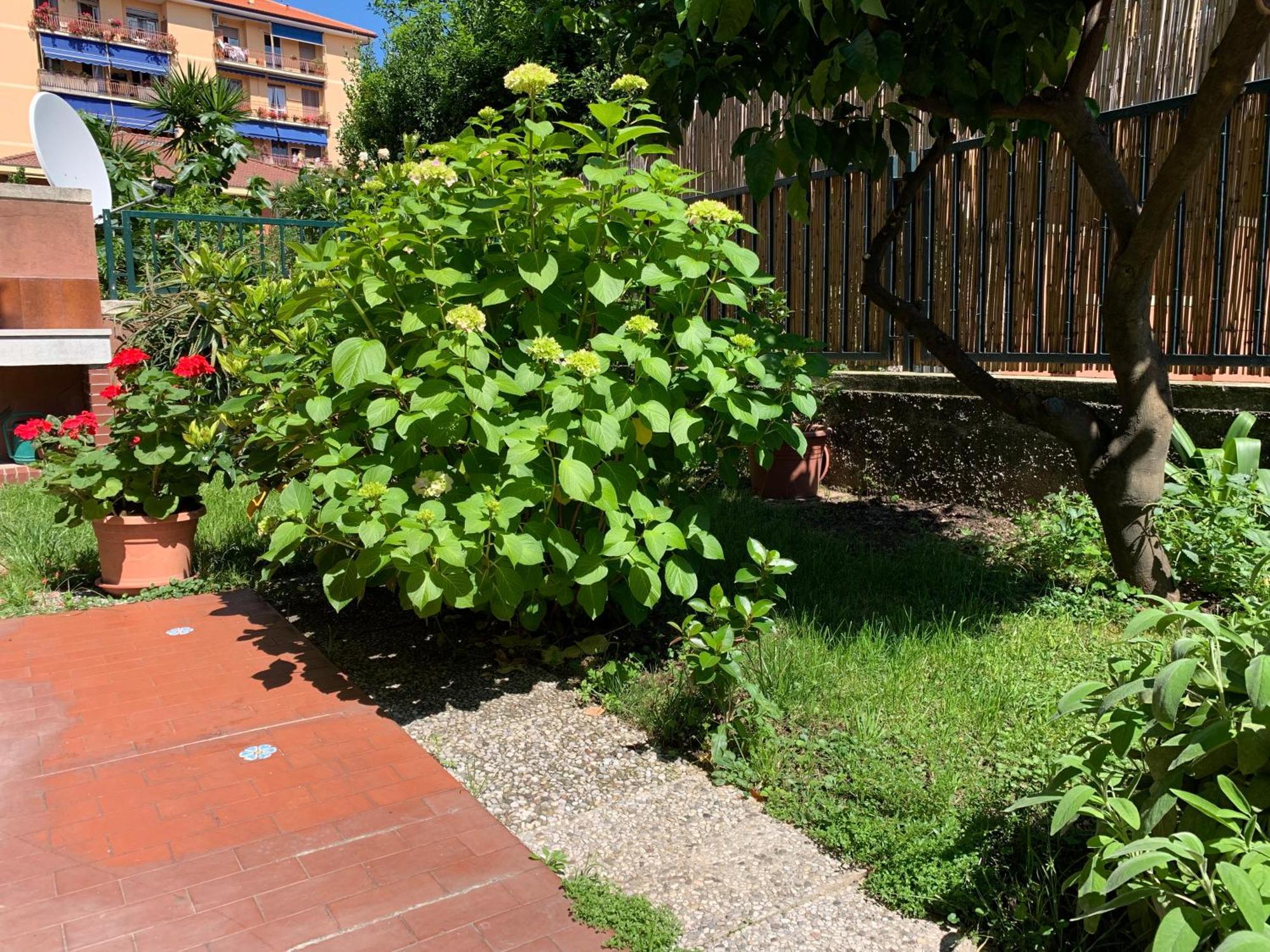 Il Giardino Dei Limoni Chiavari Exterior foto